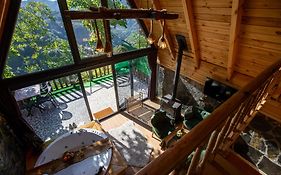 Rize Serenity Bungalov