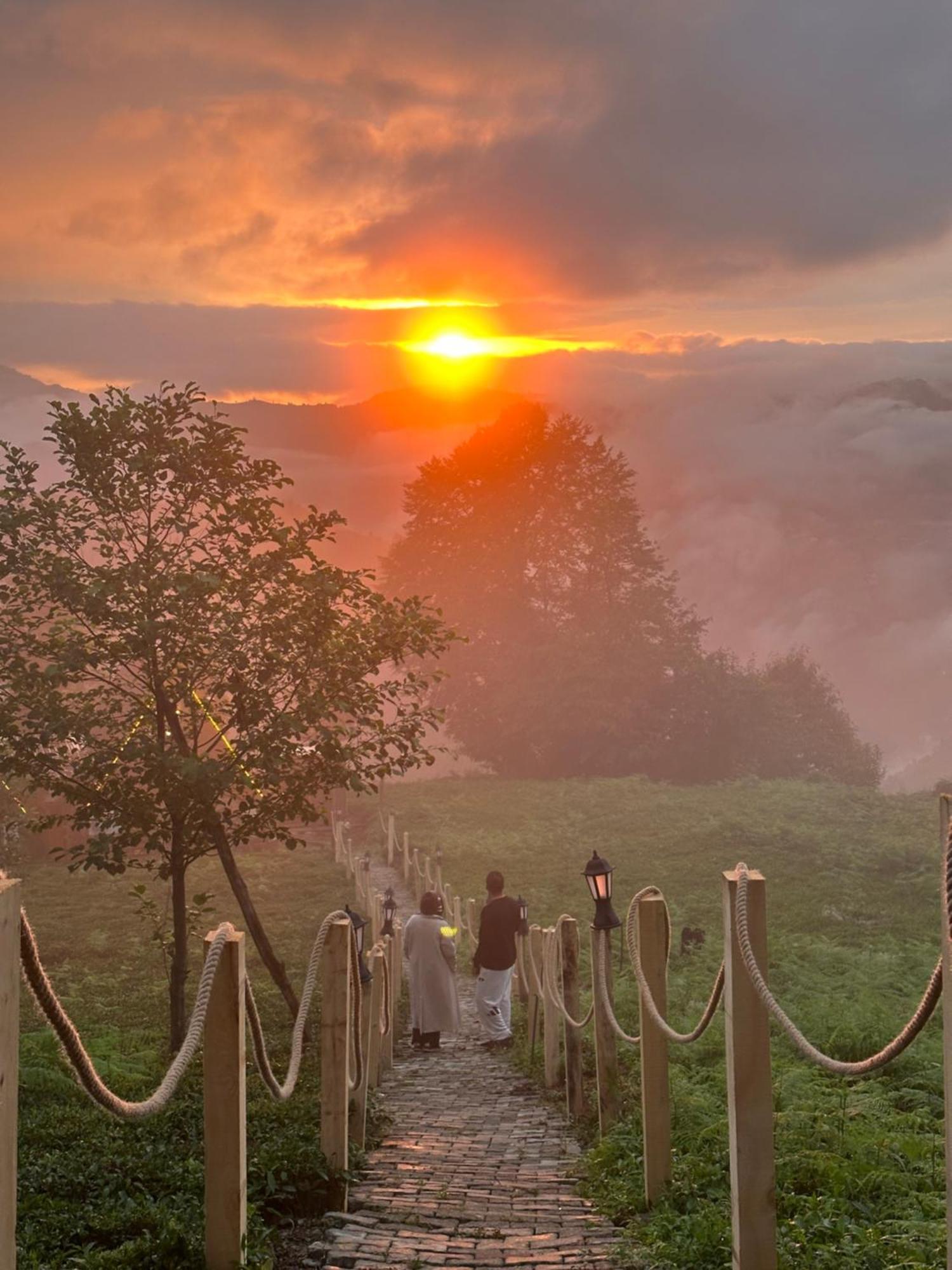 Rize Serenity Bungalov Dış mekan fotoğraf
